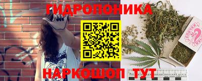 ешки Тверь