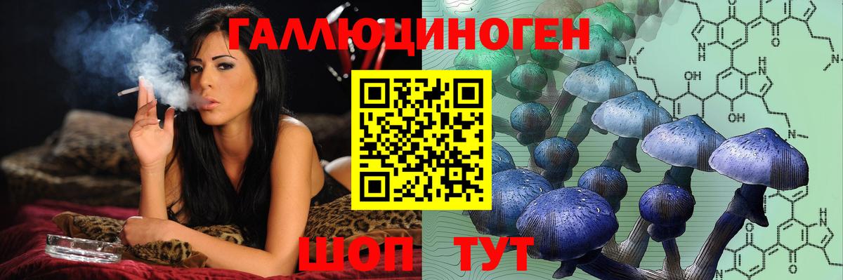 Галлюциногенные грибы Cubensis Нижнекамск