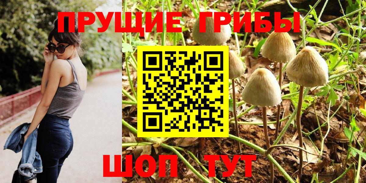 Нижнекамск  Галлюциногенные грибы мицелий  Вход с VPN 